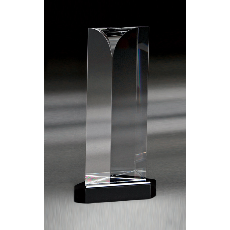 Large Neligh Award